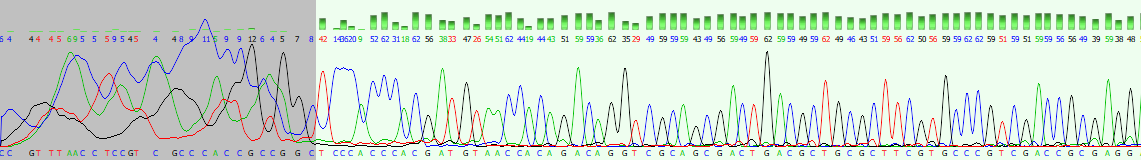 Linux Terminal Window
